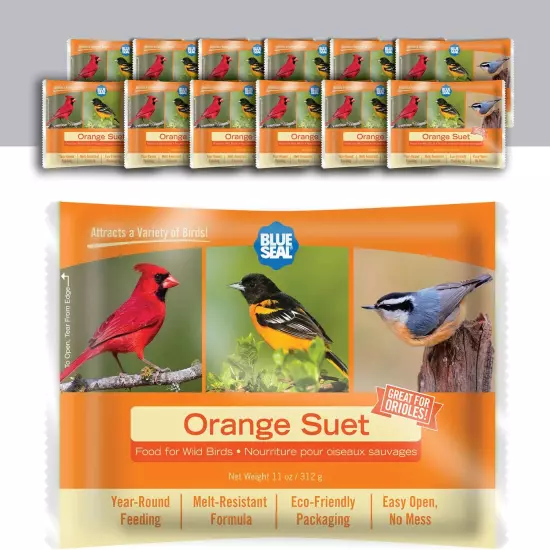 Orange Suet Cakes for Wild Birds - No Mess Suet Feed, Food for Woodpeckers, Card