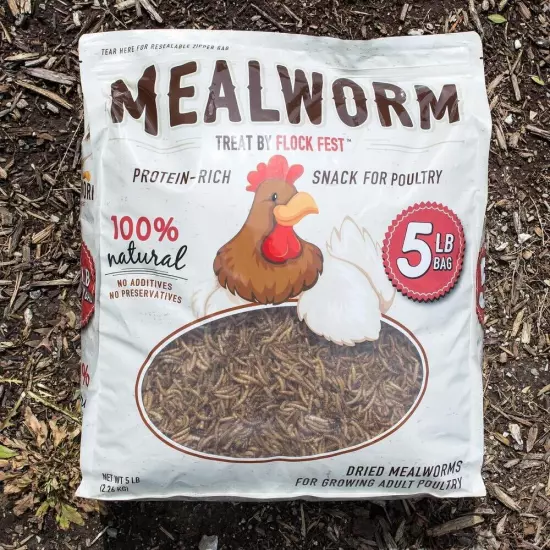 Flock Fest Dried Mealworms for Chickens, Wild Birds, Ducks, and Small Pets, 5 lb