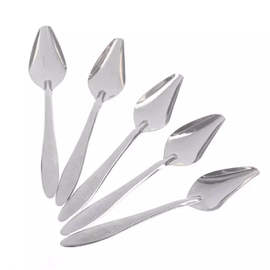 5Pc Baby Bird Pointed Feeding Spoon Stainless Steel Milk Medicine Parrot Fe.t2