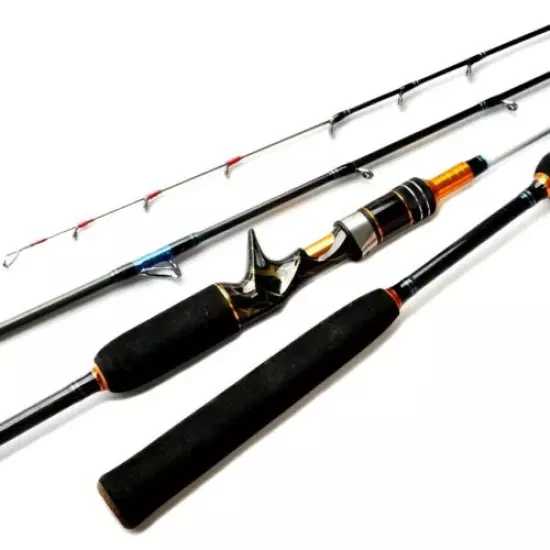 Jigging Casting Spinning Surf Fishing Rod Pole High Carbon Fiber Fast Inshore S