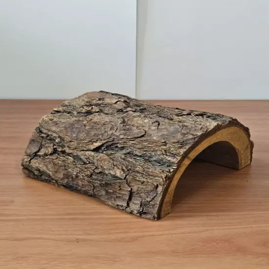 Aquarium Display Half Log