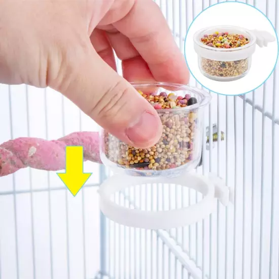 6 Pack Detachable Transparent Bowl Plastic Food Cup Convenient Hanging Seed Wate