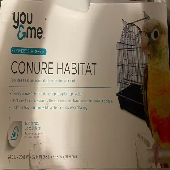 You And Me Conure Habitat