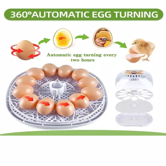 Incubator for Hatching Eggs 12-24 Eggs Incubator with Automatic Egg Turning and