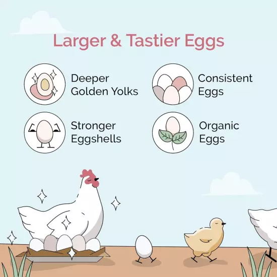 Chicken Grit | Layer & Grower Chickens Age 8-20+ Weeks | 4 lbs. | 100% Natural M