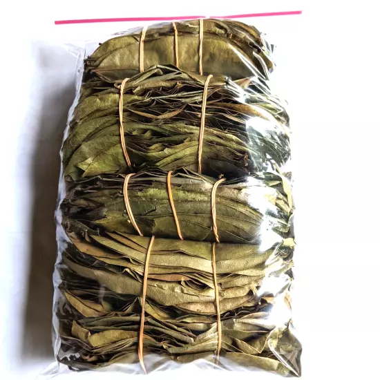 1 oz leaves Soursop Leaves 1 oz Hojas De Guanabana Graviola Leaf Bulk 100% Pure