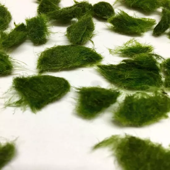 Marimo Moss 100 Pieces 0.25-0.5 inch Cladophora Live Plant Aquarium in USA.