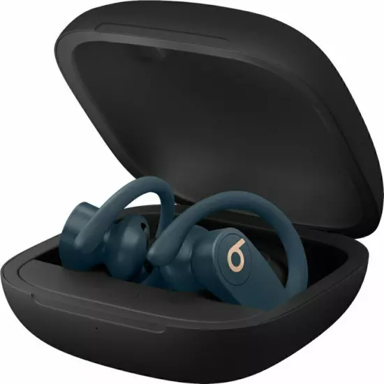 2024 NEW Beats by Dr. Dre Powerbeats Pro Ear-Hook Wireless Bluetooth Earphones