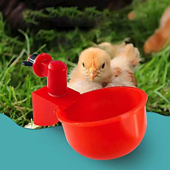 Automatic Cups Chicken Water Cup Bowl Feeder Drinker Waterer Poultry Chook Bird