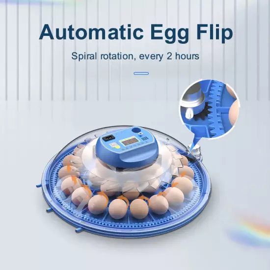 80 Egg Fully Automatic Incubator Hatching Machine Chicken Eggs Brooder Reservoir