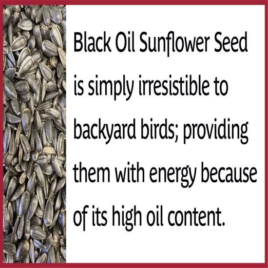 2 Pack Pennington Select Black Oil Sunflower Seed Dry Wild Bird Feed, 40 lb.Bag