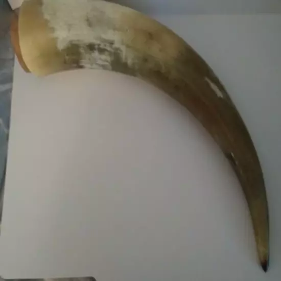 Antique American Black Powder Powder Horn