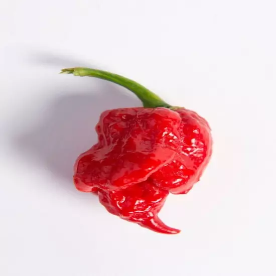 Whole Dried Carolina Reaper Pepper Pods World Hottest Best Quality Organic