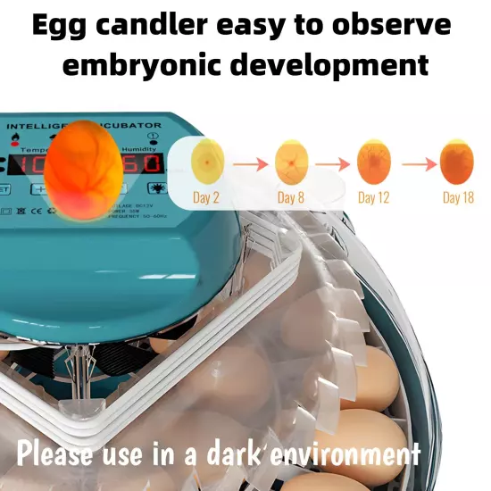 Egg Incubator Intelligent Incubator for Chicken Eggs with Automatic Humidity C