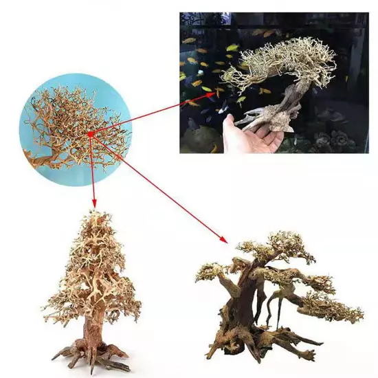 Mini Driftwood Aquarium Moss Tree Small Plant Branches Fish Tank Landscape Craft