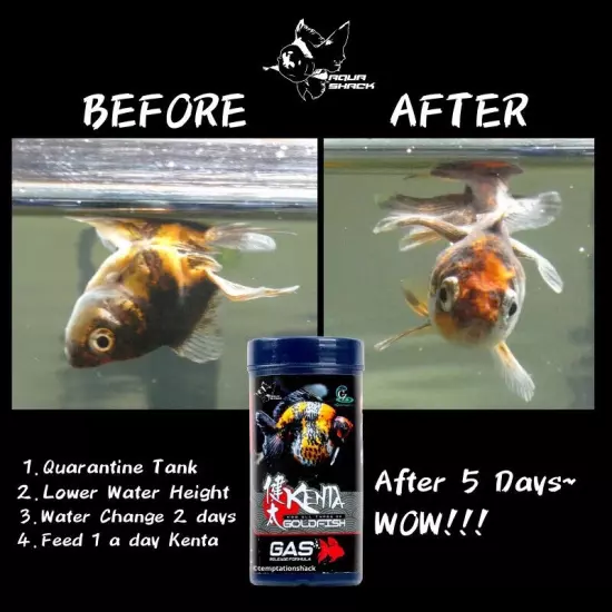 CZ Aqua Kenta Goldfish Gas Release Formula Sinking Pellets Food Prevent Disease