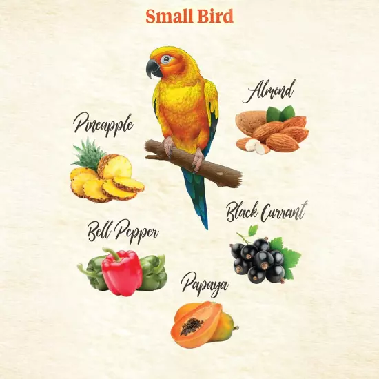 Food from the Wild Natural Pet Bird Snack Food Treats for Parakeets, Cockatiels,