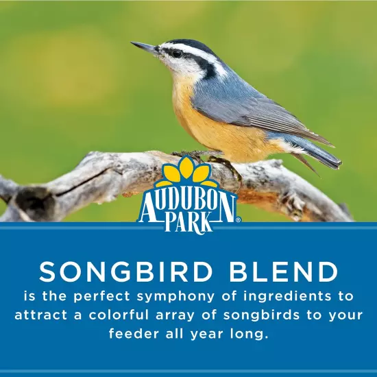 Songbird Blend Wild Bird Food, Bird Food for outside Feeders, 14-Pound Bag