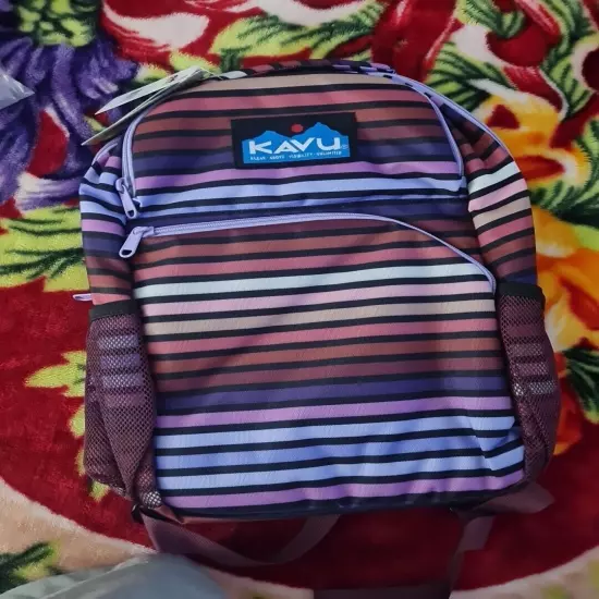 KAVU Packwood Backpack Striped New 