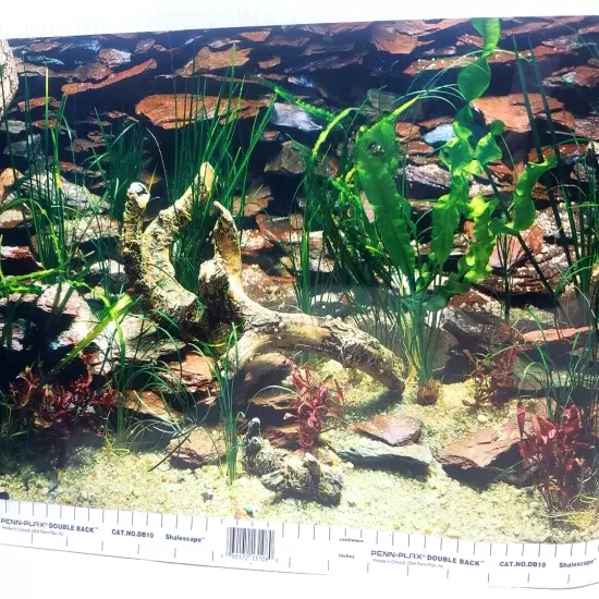 Penn Plax Shalescape / Aquarama 12” x 30’ DB10 Aquarium Background NEW