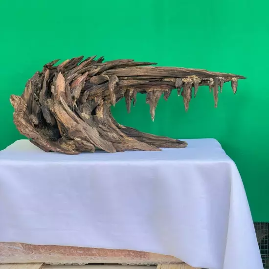 Drift wood aquarium aquascape bonsai driftwood real fish tank decoration