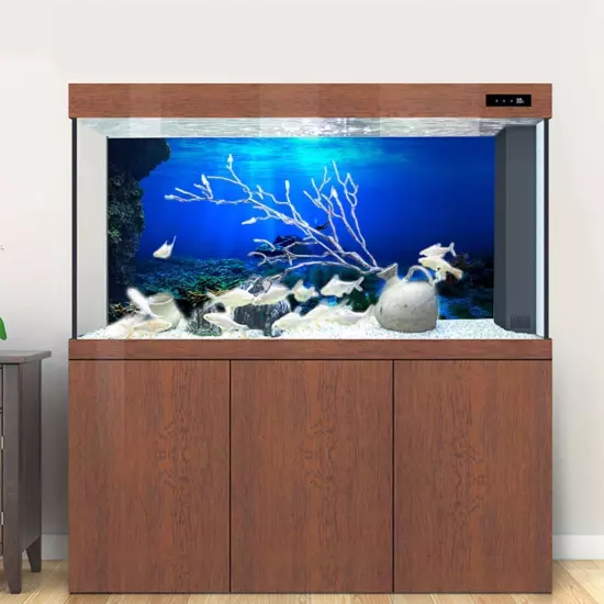 Adhesive Seaworld Background Poster for Aquarium Fish Tank Decoration 61 X 41cm