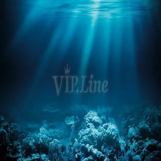 Aquarium Background Poster Seabed Coral HD Fish Tank Decorations Landscape