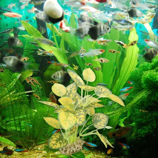 Aquarium Artificial Waterweed Fish Tank Grass Water Plants Landscaping Dec D2P1