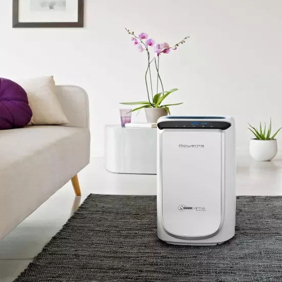 Rowenta Intense Pure Air PU4020, Air Purifier, with pollution level 60m purific