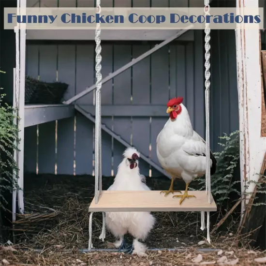 Chicken Swing Toy for Chicken Coop, Chicken Enrichment Toy for Hens and5539