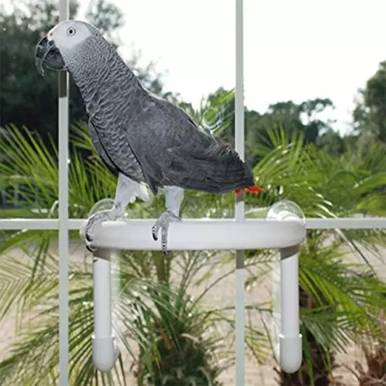 Bird Parrot Shower Perch (Large Round