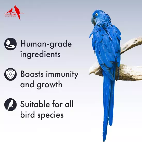 Morning Bird Hearty Bird Vitamin/Mineral Formula, Natural Human Grade Ingredient