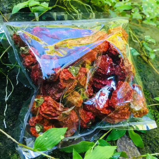 200 Whole Dried Carolina Reaper Pepper Pods World Hottest Best Quality