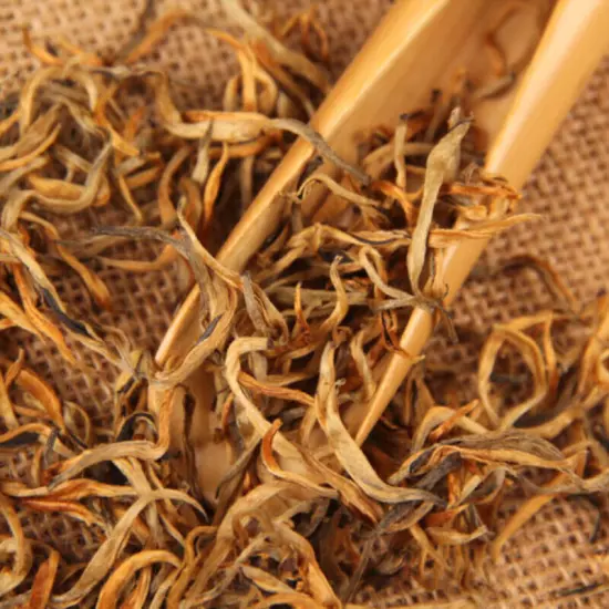 Yunnan Spring Tea Top Gold Wire Dian Hong Tea Red Single Bud Organic Black Tea