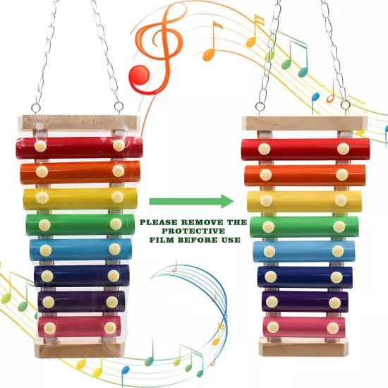 Colorful Bird Xylophone Toy, Suspensible Funny Toy with 8 Size A 