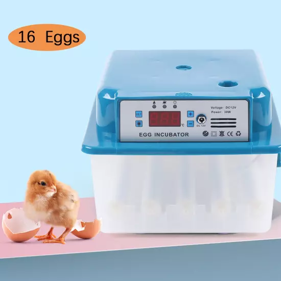 16 Eggs Digital Incubator with Fully Automatic Egg Turning Humidity Chicken Duck