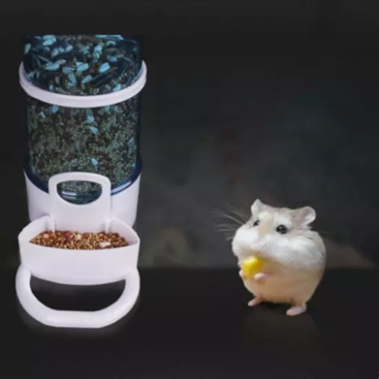 Equipment Plastic Bird's Container Bird's Feeder Bird Feeder Food Dispenser