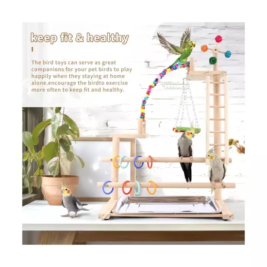 Bird Playground, Perch Stand Parrot Playstand Play Gym with 2 Perches Stand W...