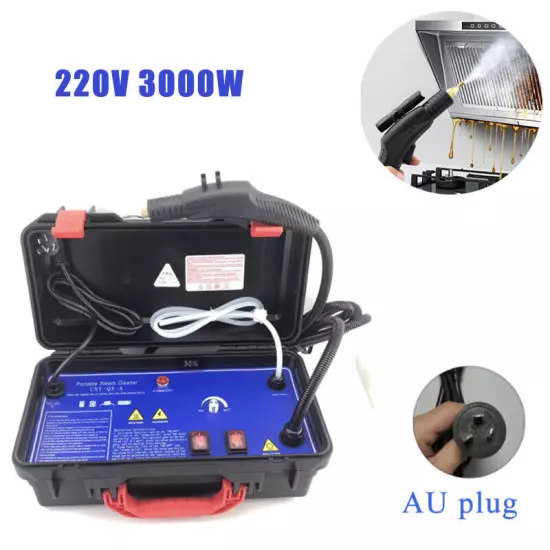 220V 3000W Commercial New Portable Steam Cleaner Car Upholstery Cleaning Machine