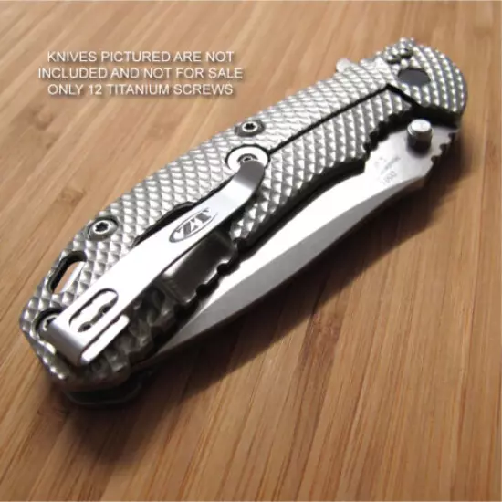 Zero Tolerance ZT0560 561 ZT Knife 13PC Titanium Screw Set + Ti LBS Washer RAW 