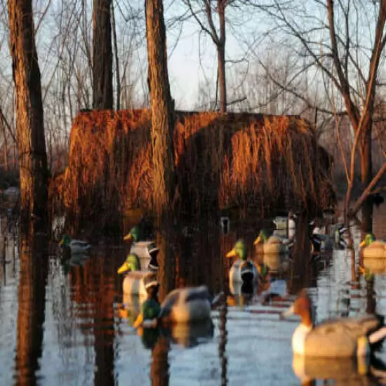 Avery Greenhead Gear Killer Weed Duck Boat Blind Kit Willow Cypress Killerweed