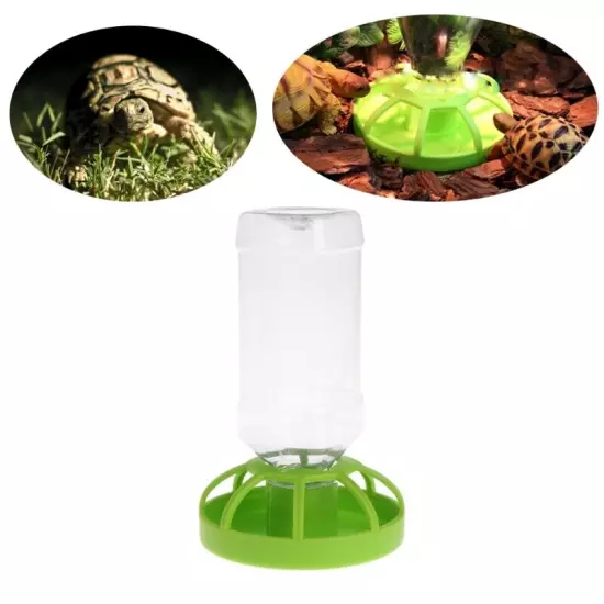 Reptiles Feeder Bowl Amphibians Drinker Bowl Reptiles Feeding Basin Bowl