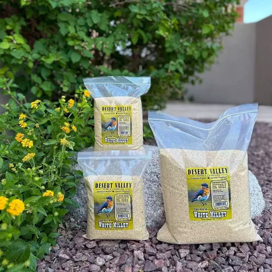 Desert Valley White Millet Proso Seeds, Premium All Natural Wild Bird Food fo...