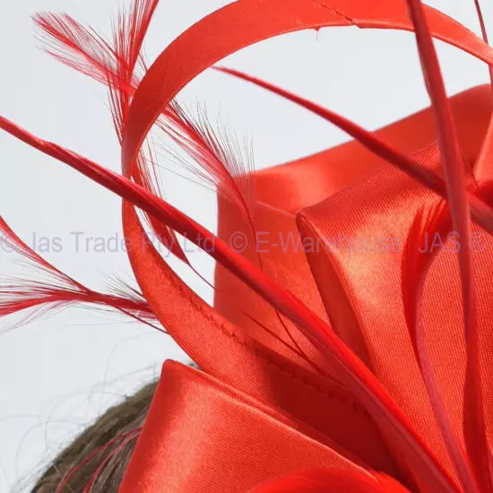 Spring Racing Race Party Melbourne Cup Feather Headband Hairband Clip Fascinator