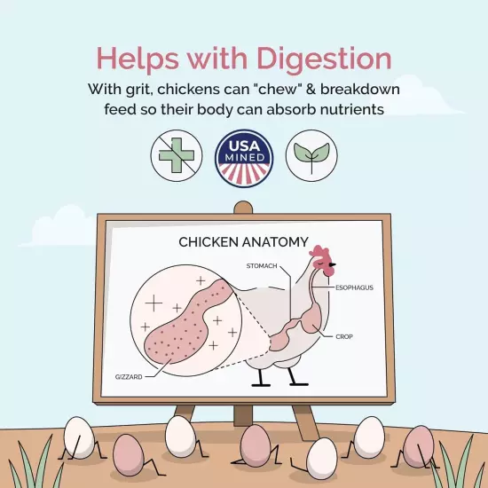 Chicken Grit | Layer & Grower Chickens Age 8-20+ Weeks | 4 lbs. | 100% Natural M