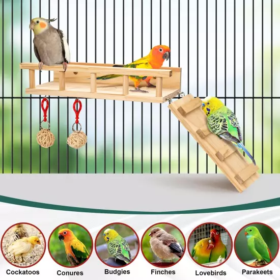 PETOGO's Wooden Bird Perch Platform Stand with Ladder and Rattan Toys - Made ...