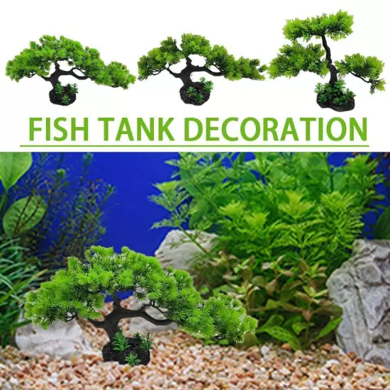 1* Artificial Fish Tank Simulation Water Plan U8R5