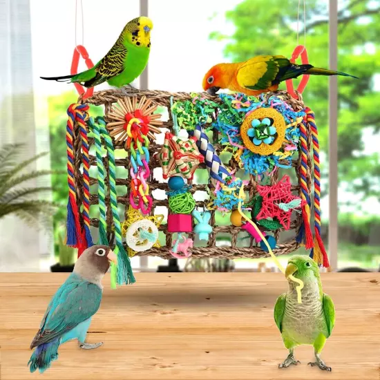 Bird Toys Bird Foraging Toys for Parakeets Cockatiel Conures Lovebirds Bird Fora