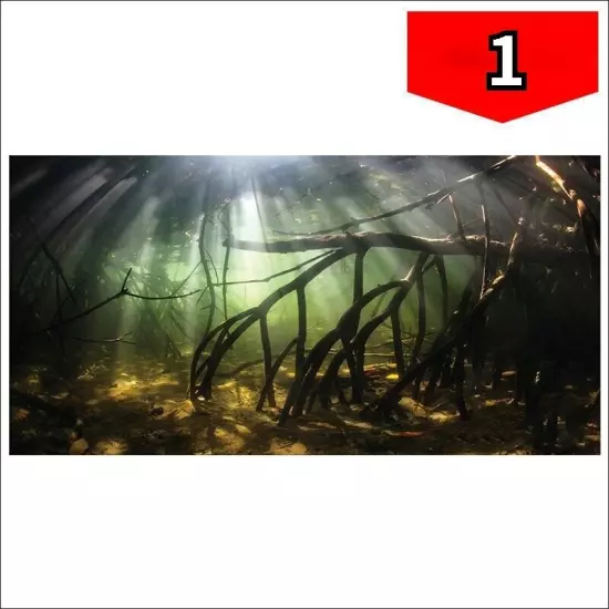 1pc HD Fish Tank Background Sticker 3D Landscape Poster Aquarium Art Decoration