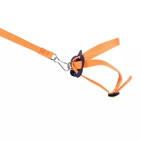 Parrot Bird Harness Leash Adjustable Training Rope Flying Traction Straps Band.